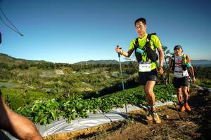 BIB: 9798
                            <button type="button" onclick="openModal(19118859)" class="btn btn-primary btn-sm float-right btn-popup" data-toggle="modal" data-target=".modal-high-quality">
                        <i class="fas fa-shopping-cart"></i> Add to Cart
                    </button>
                                            <button type="button" onclick="isThisMe(19118859, true)" class="btn btn-success btn-sm float-right btn-popup btn-isme hidden" data-toggle="tooltip" data-placement="bottom" title="นี่คือรูปของคุณใช่ไหม คลิกที่นี่เพื่อเอาเข้าอัลบั้ม">
                        <i class="fas fa-plus"></i> Add to album
                    </button>
                    <button type="button" onclick="isThisMe(19118859, false)" class="btn btn-warning btn-sm float-right btn-popup btn-isnotme hidden">
                        <i class="fas fa-ban"></i> Remove from album
                    </button>